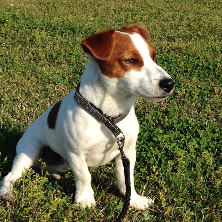 21e701b8 6f2f 4da0 89e8 5d9ad5e21d97