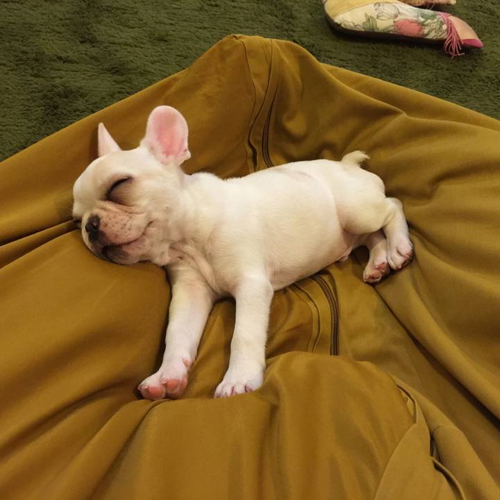 21e76faa d1c9 4ad6 adba ae91c9f22257