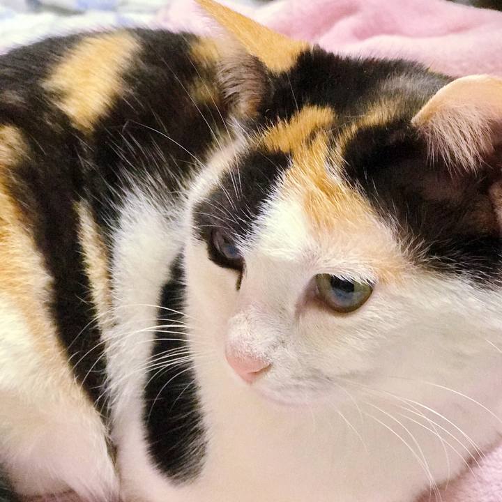 21e808cd 4e7c 4c7f bf2a 3da5f801376d