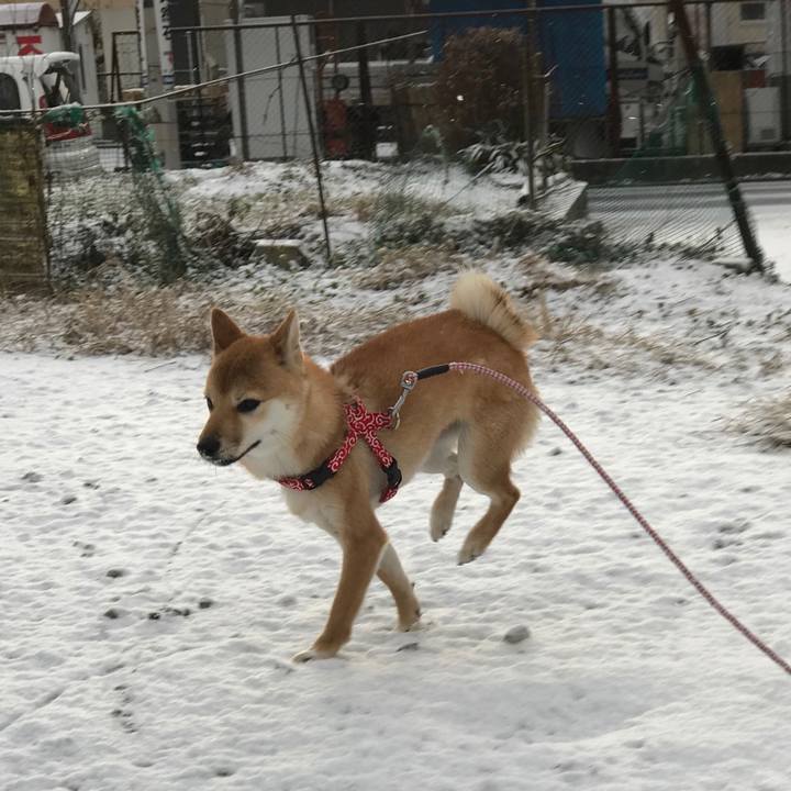 21e898b7 ee76 41f2 bc93 84d1fa22b7f9