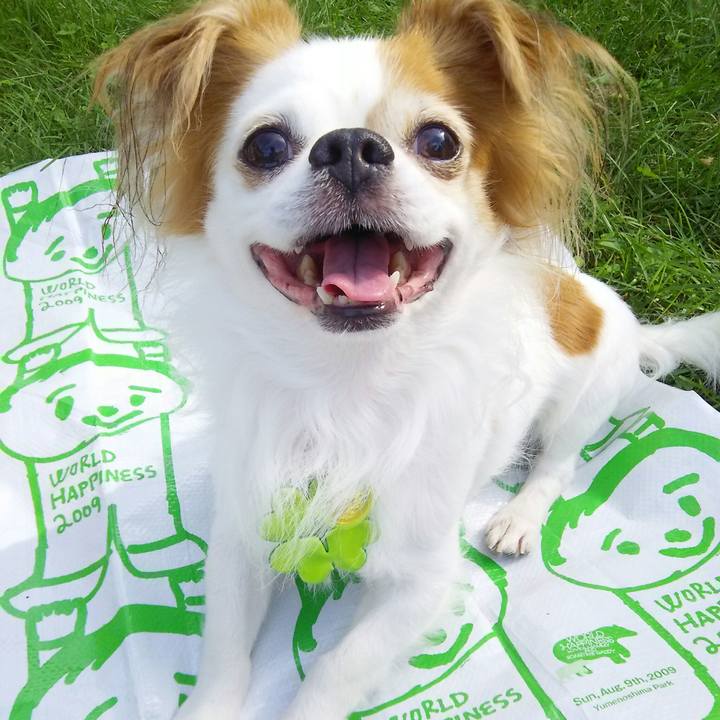 21e94ef6 5c3c 40e9 99ac 4ed266bab3e4