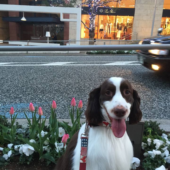 21e9e476 a028 43a3 8e92 a3a37838b678