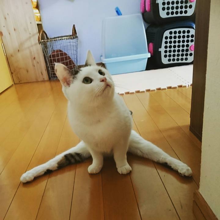 21eabfd0 03ee 4555 9555 c32c9e7aca0e