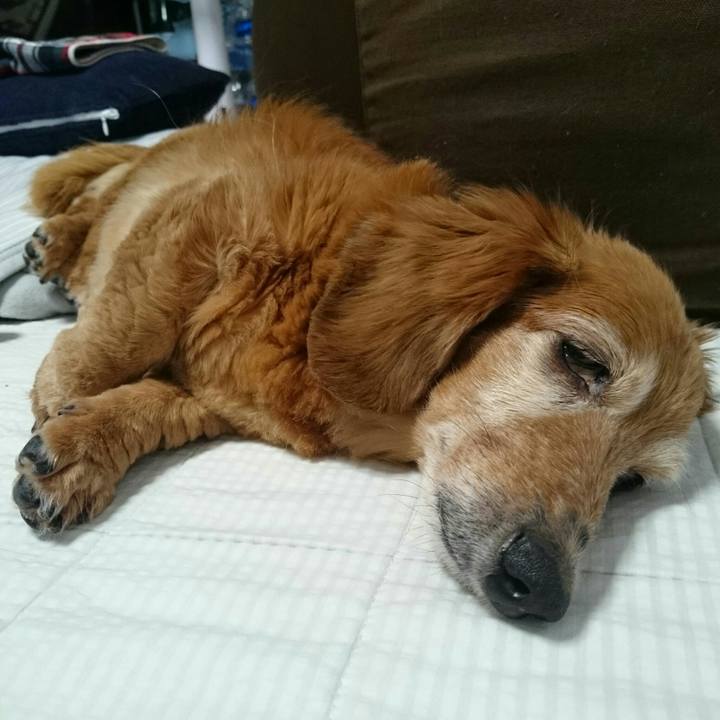 21eb3c1f 1e52 4dc3 959c 96d35df905da