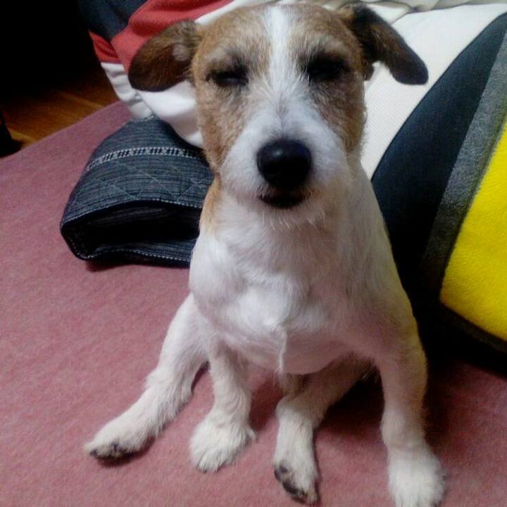 21eb436f 4921 4f48 9ff5 2524c50146cc