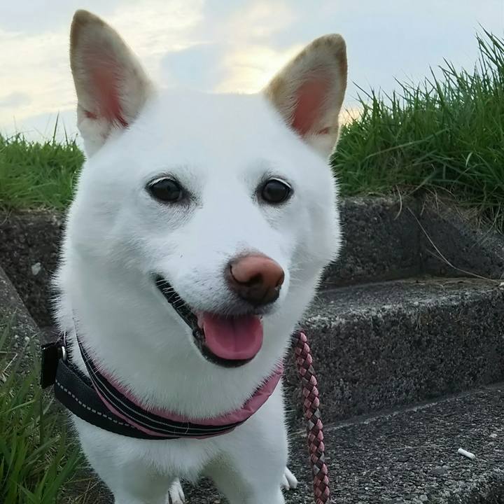 21eb5e59 81a7 4b60 acaf 1736e0fbf485