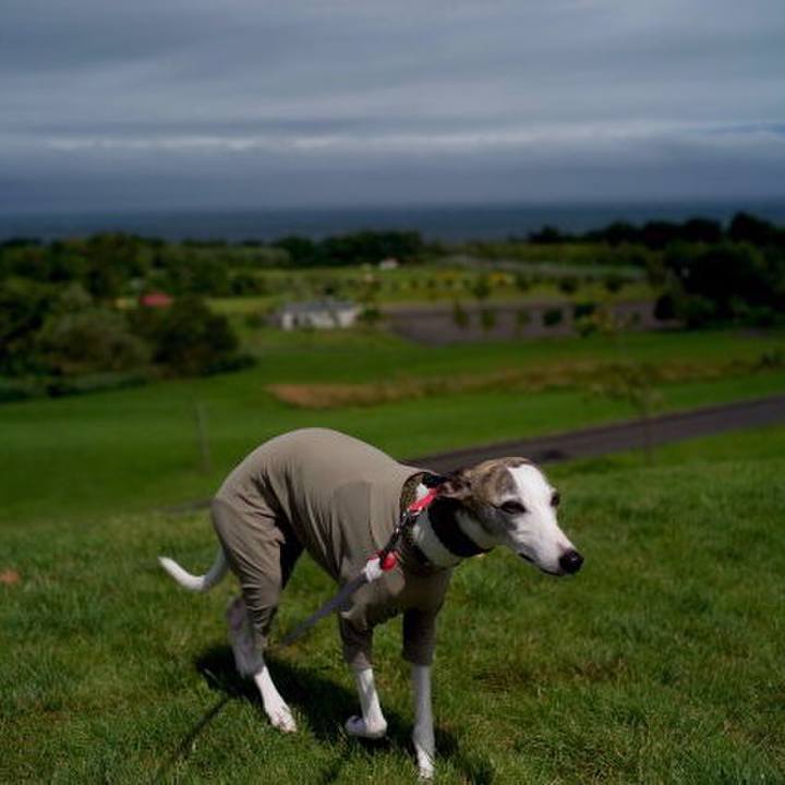 21eb60a6 f6e3 415f bb05 b69973429dbd