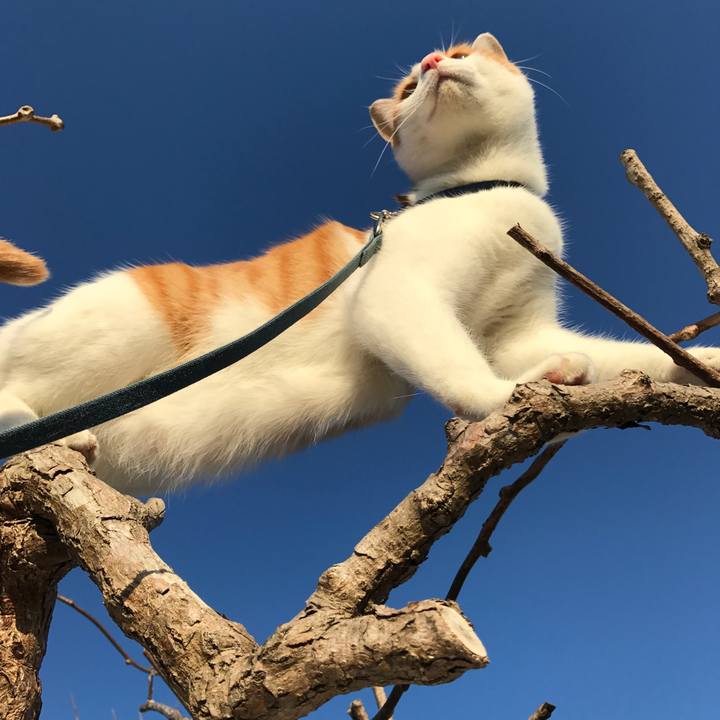 21eb9757 7a3f 44bb 9b0f 89df2b215f33