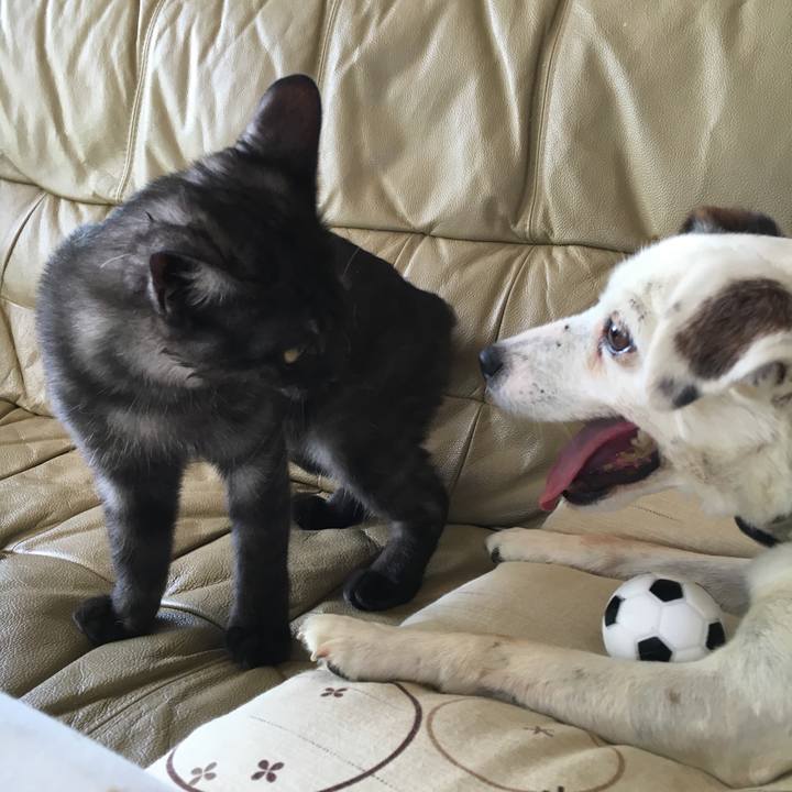 21ebc35a 0e3d 454e 824b 02b140dd6603