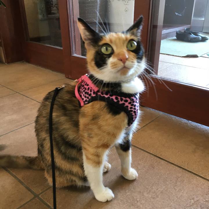 21ec0879 140a 46a4 a9e7 57111a46feb8