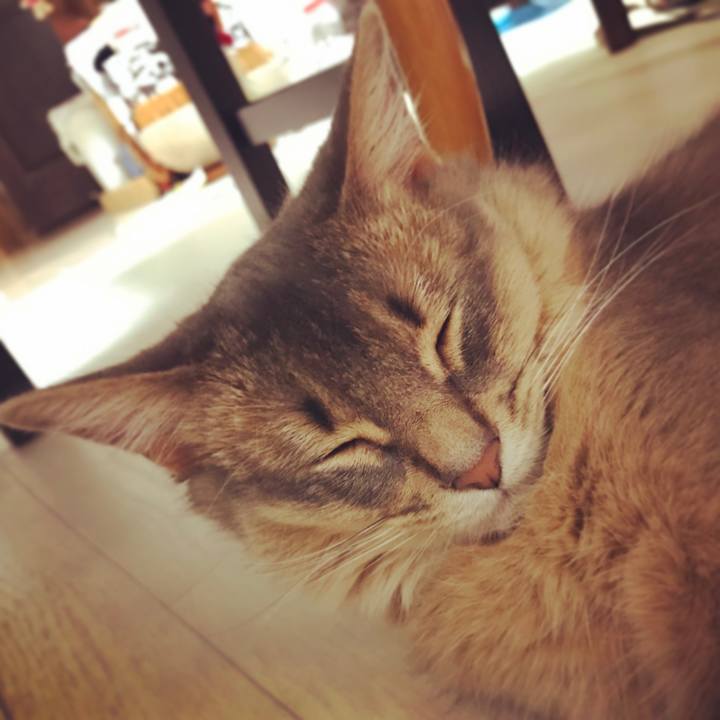 21ec3861 c7cf 49aa 9973 3512f23dd339