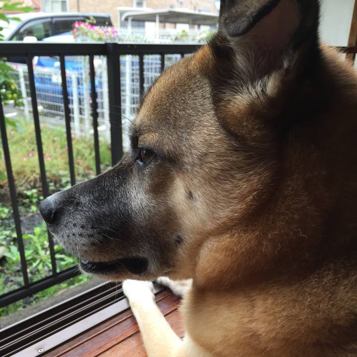 21ec4f14 6089 4f40 96f8 478dc9595130