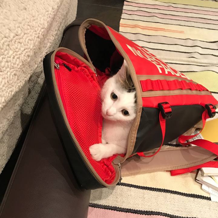 21ec9e00 d33b 4c7b a5bc eddbd1b7a16c