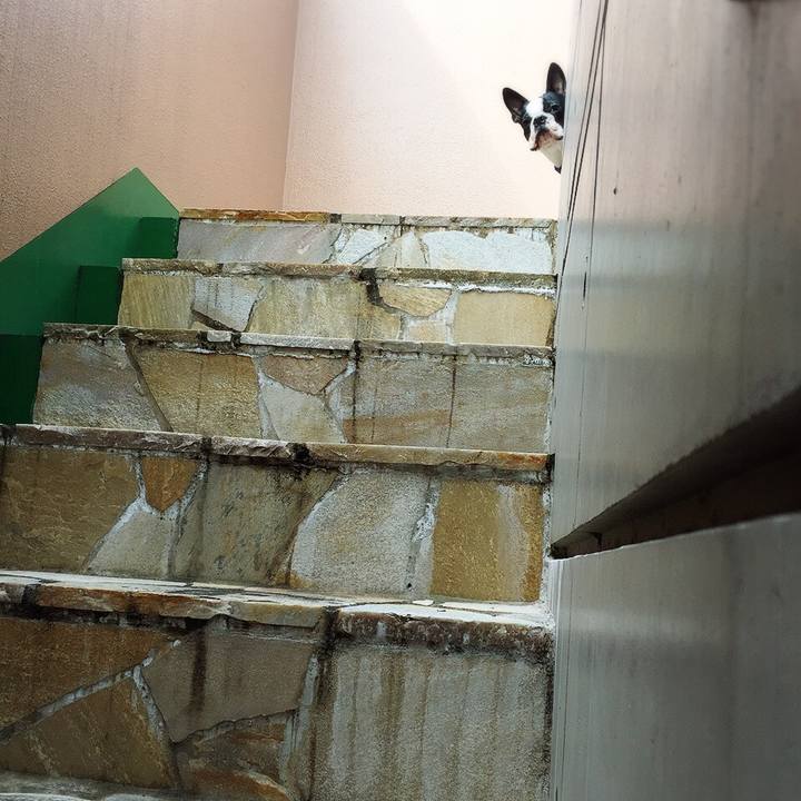 21edcded 286c 4b6c b9be 8e39b767bc75