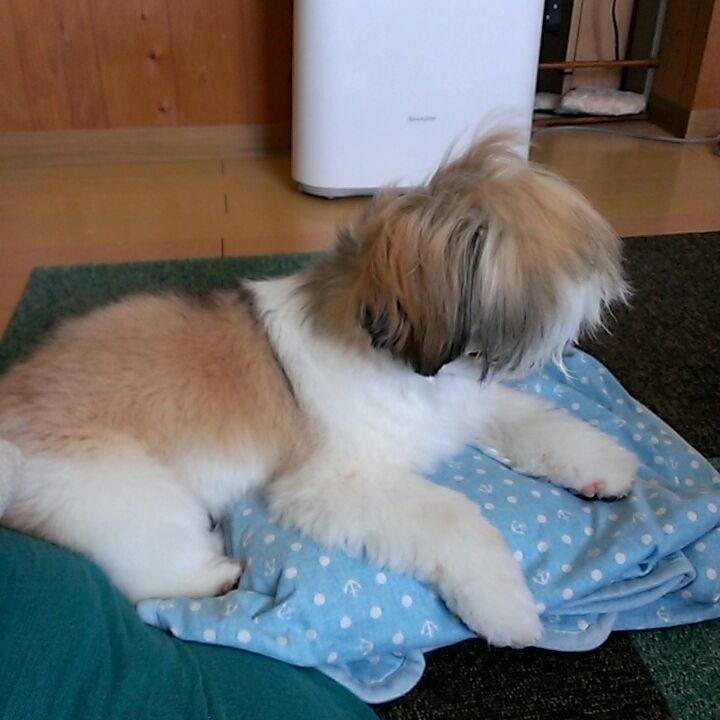 21ee0807 5c74 460c 9eb0 7d41432e2ce5