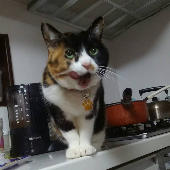 21ee1f1e bedc 4b09 8b8e f5c136e994c7