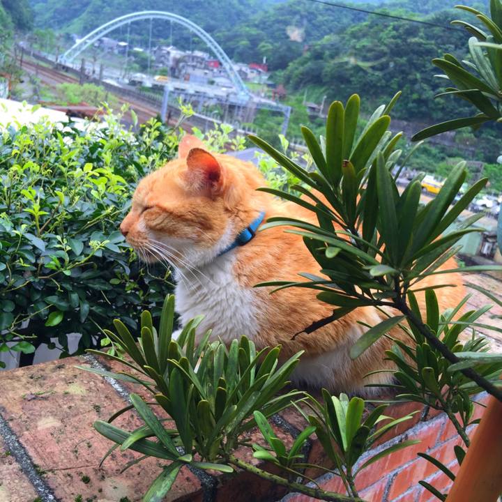 21ee6de4 f0e8 4047 8420 a5832950b5b9