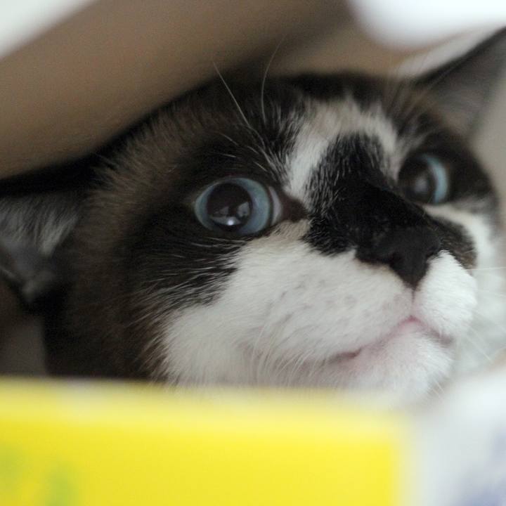 21ee77f5 fc19 49b0 a325 5ad2e4e4ab2f