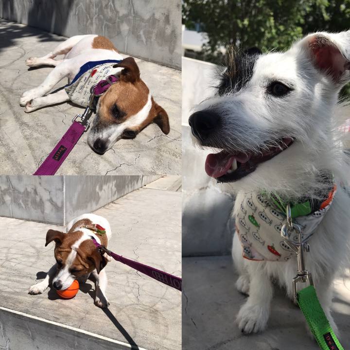 21ee9b6b 7033 4a96 931e f5cb12aab225