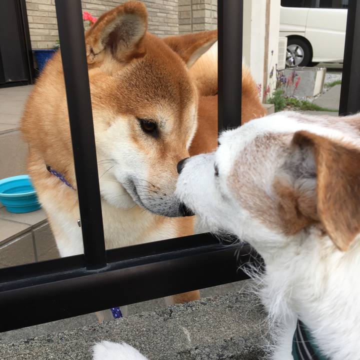 21ef0f84 bbdc 42a0 b974 87ba8ffb1458