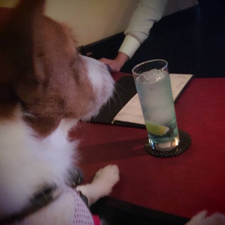 21ef11f8 1d06 456b a393 1079d494274b