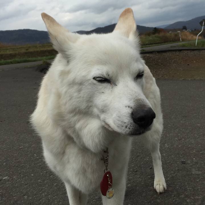 21ef22b8 fbdc 4b5d 89ea b1f95d2dd967