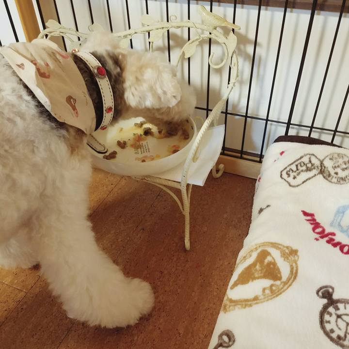 21ef2970 e6ad 4cc5 a05e 35c58d1d1d14