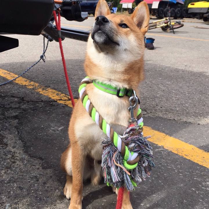 21ef3096 8d7d 4b78 8bff 305f38ff587b