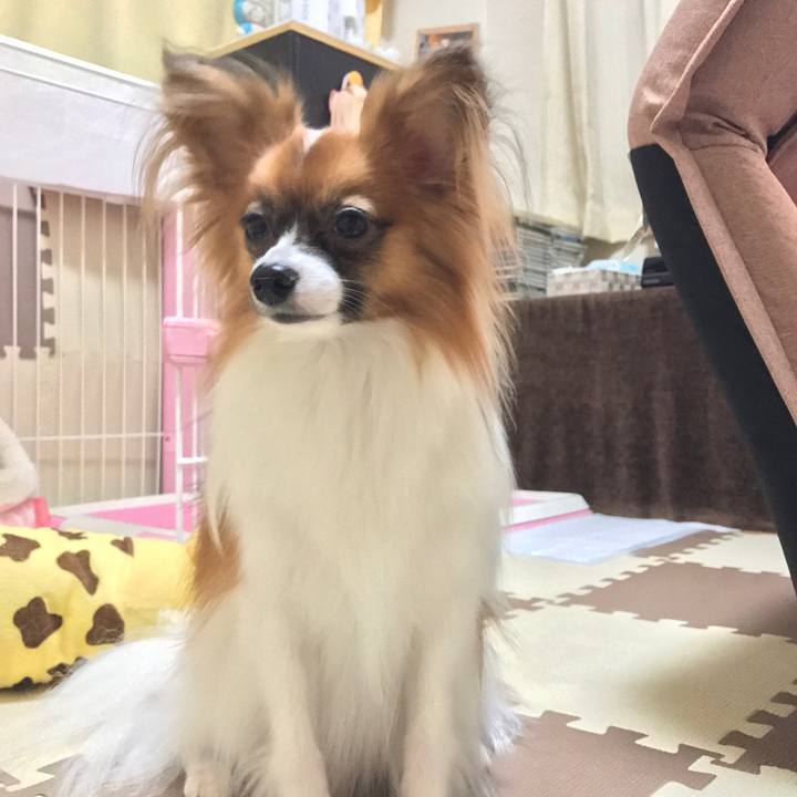 21ef9d4e 6ddd 4dbf a033 360868dfe52f