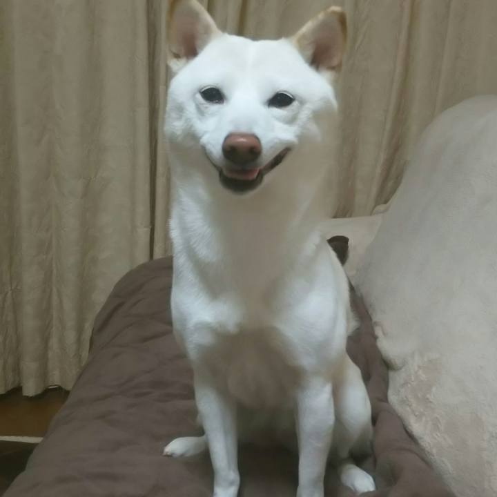 21efa612 640f 4375 a6dc 55d2931294ed