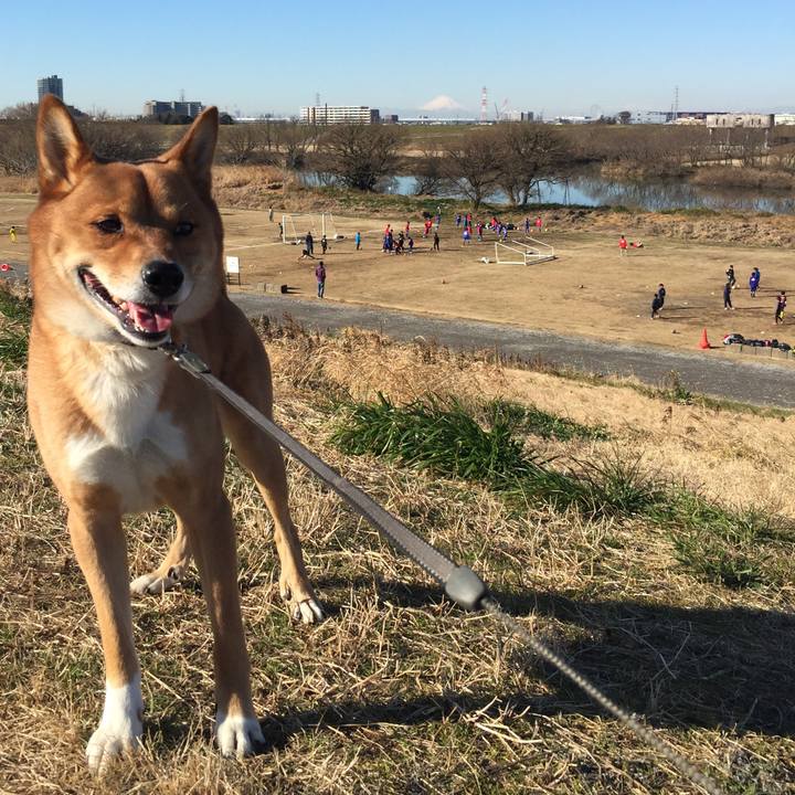 21effafd 8836 49b4 b417 1642a1cc0a22