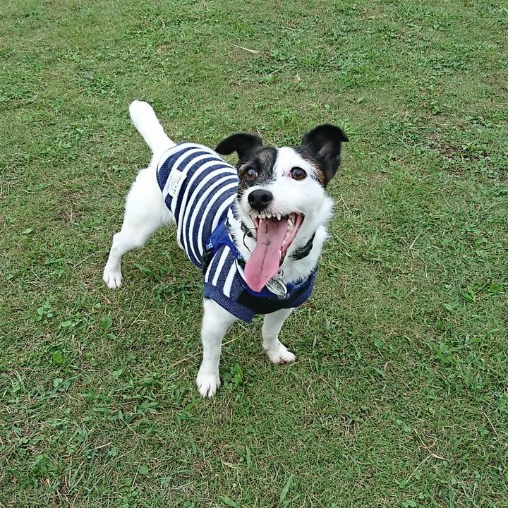 21f0716b 054a 4e62 85d4 ca6d556892dd