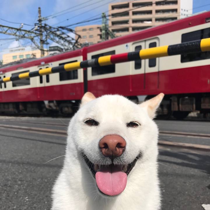 21f12769 71e0 4249 961c b38e3b59bebe