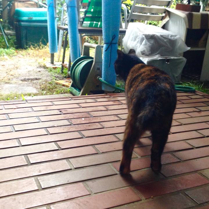 21f13c68 c248 4c58 9a16 4ef257792d33