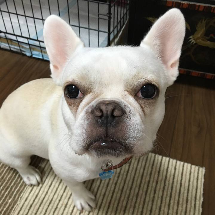 21f1506b c4cf 4404 84eb eed8516120a7