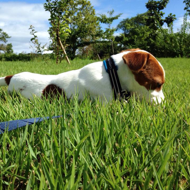 21f1ec00 2e6e 4761 a980 ad62f3876bea