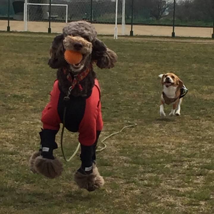 21f20a89 ec66 45c7 b462 2ad858101aa5