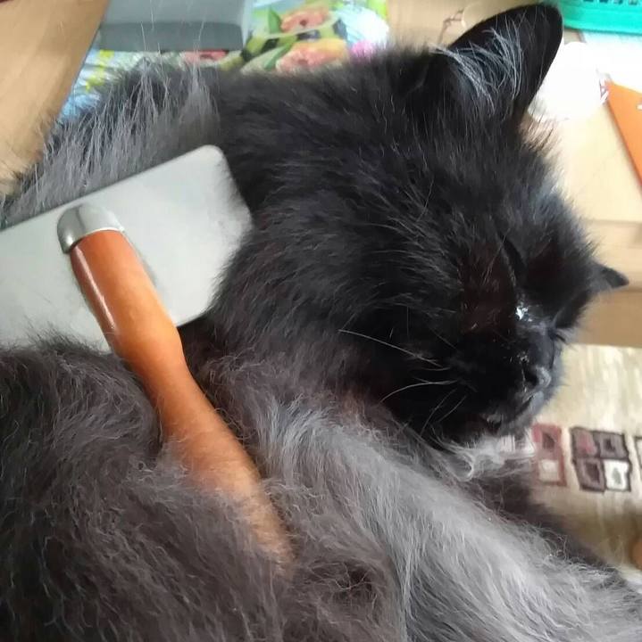 21f247fd a4c3 4ee0 af49 21bf582780b9