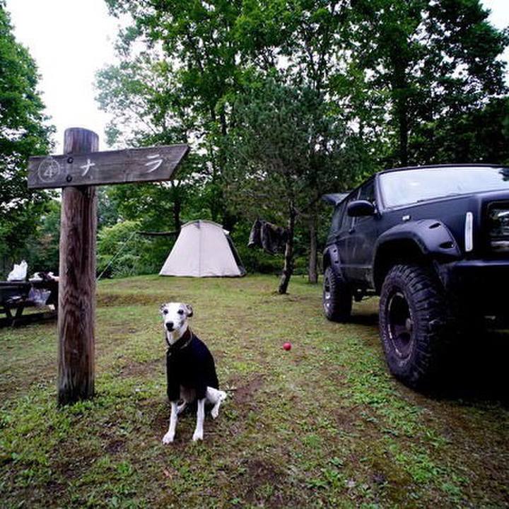 21f270d5 8036 4361 aced 06cbc1c2d585