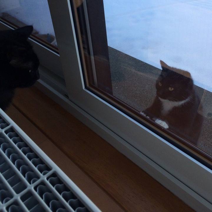 21f271b6 bee3 4a7b a023 6849045ee44a