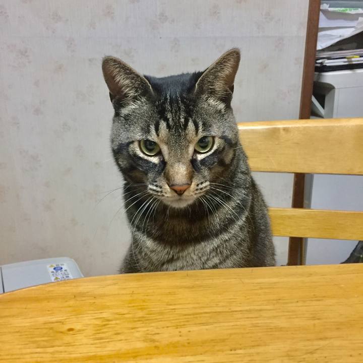 21f2c6da 4fa5 4721 af38 aa39ee8e2da8