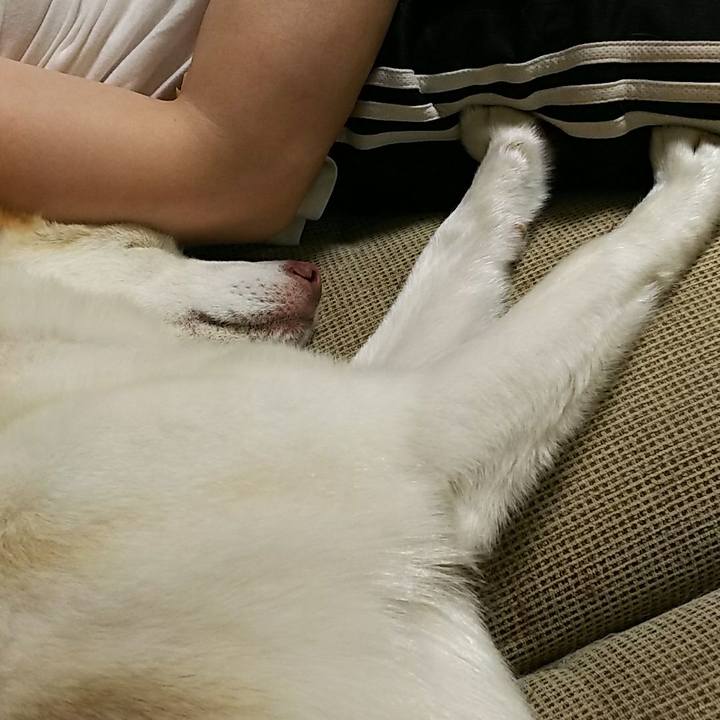 21f2d384 c07e 4a8f a89c fe9aa4a44775