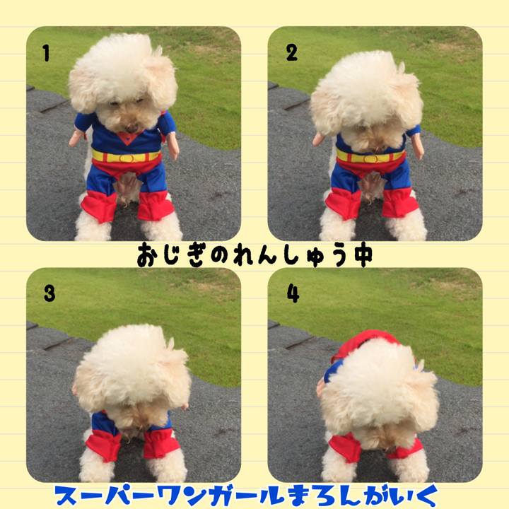 21f2e23b c051 4637 a3cc cfbebdf00cdf