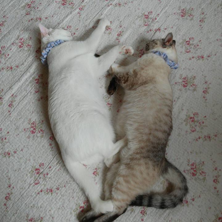 21f30b1b 31ec 41b8 8c89 d4334a9632b3