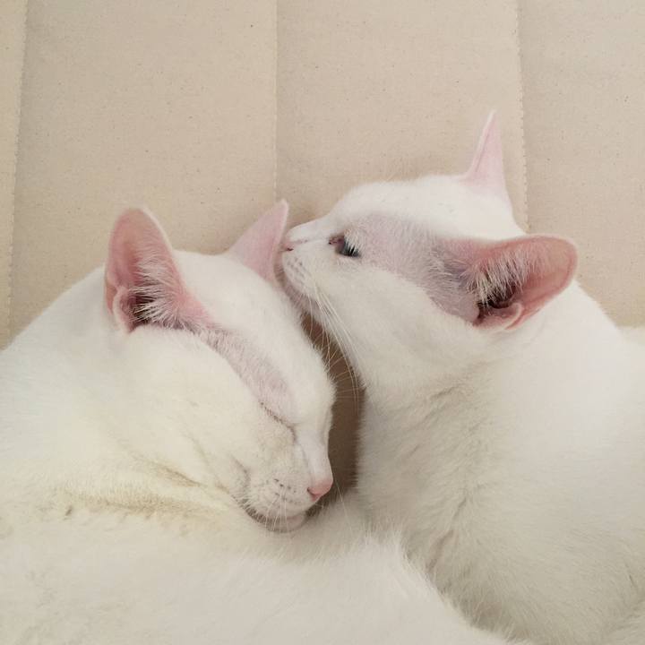 21f3b7a0 6130 4ab5 b11d 87f311ffebc4