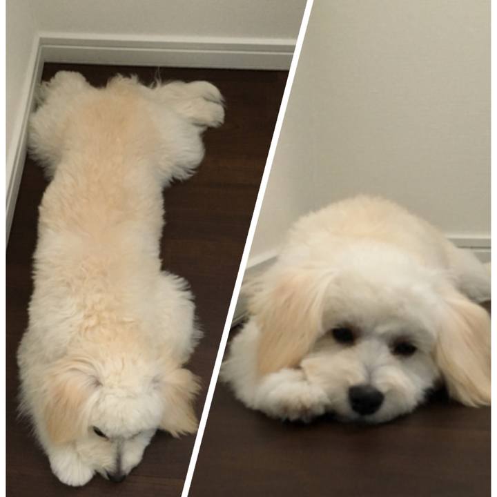 21f41f28 c47b 47ed 9617 a35a314739d6