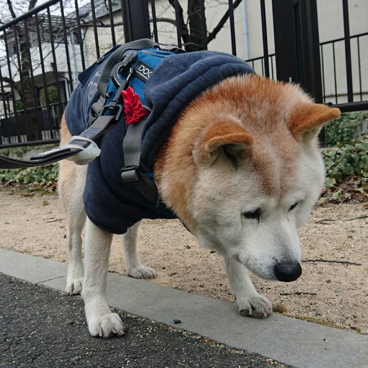 21f43229 40ef 4862 8477 d6f6a2f12e92