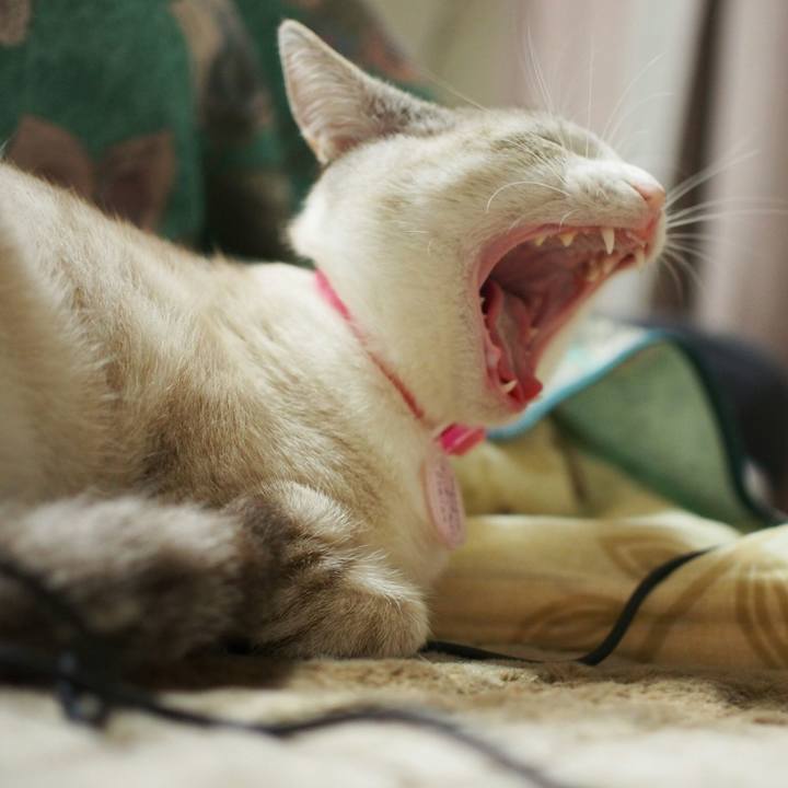 21f52eee 1b0e 4c3d b3d6 69e08c9a7d5a