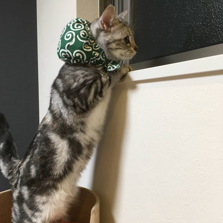 21f532da eabf 400b a37d 67ea399f4c88