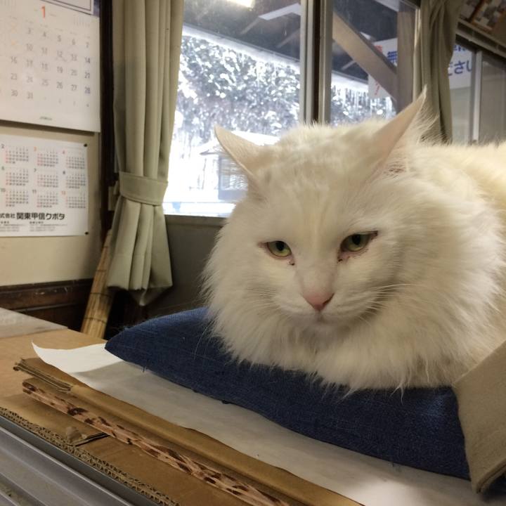 21f594ce b99d 4791 9020 f969d8061e97